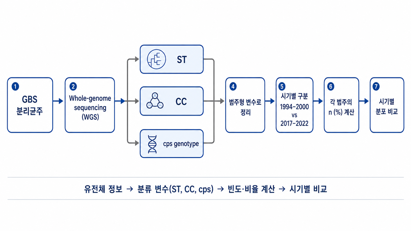  WGS 결과 도식: isolate별 CC, cps genotype, ST, phenotypic AMR, ARG와 AMR profile을 범주형 변수로 정리